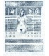 WOMEN AND THE ENVIRONMENT - VENUS TODAY