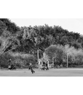 IL PALLONE