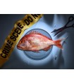 CRIME SCENE 1 - FISH DENTEX
