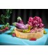 PROJECT 43 - VEGETABLES