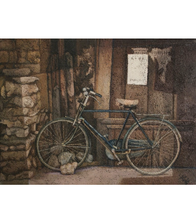 BICICLETTA A  XIAN
