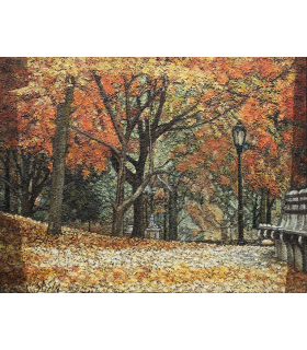 CENTRAL PARK N. Y.