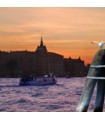 A SEAGULL IN VENICE AT SUNSET