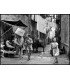 GROWING UP FAST-PALERMO