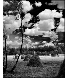 HAYMAKING IN ZOPPOLA