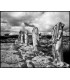 STATUES OF THE HOUSE OF JASON - CYRENE