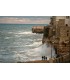 GALE IN POLIGNANO A MARE