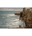 GALE IN POLIGNANO A MARE