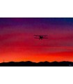 TIGER MOTH AL TRAMONTO