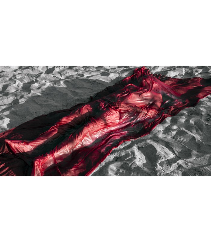 VITALITA' DISPERATA 2