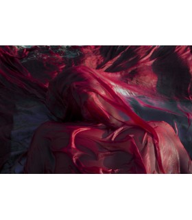 VITALITA' DISPERATA 3