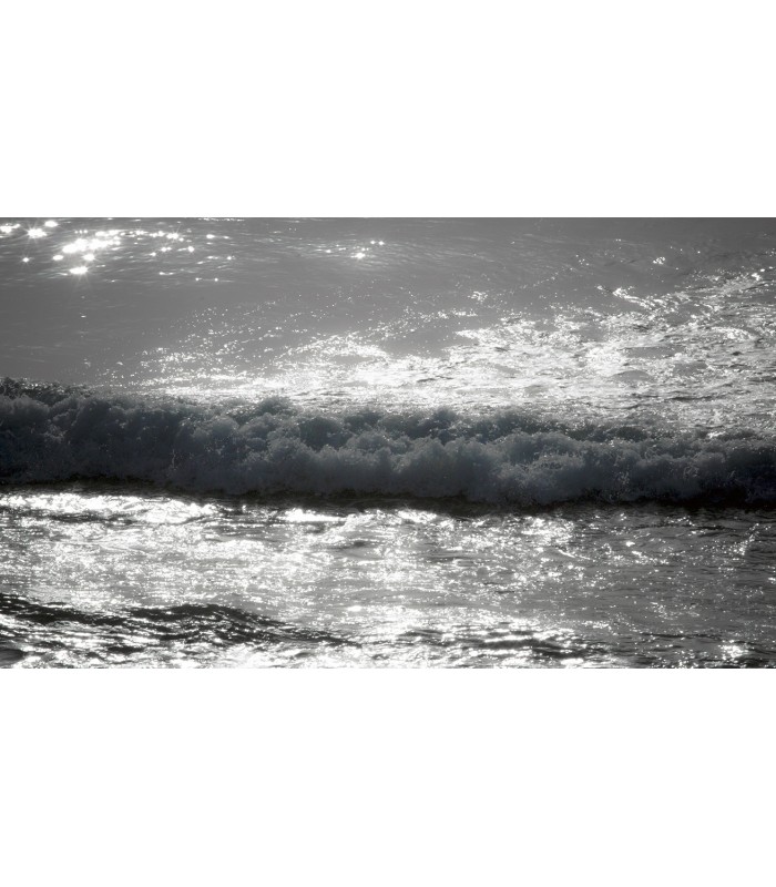 POLLICINO SOGNATORE 1