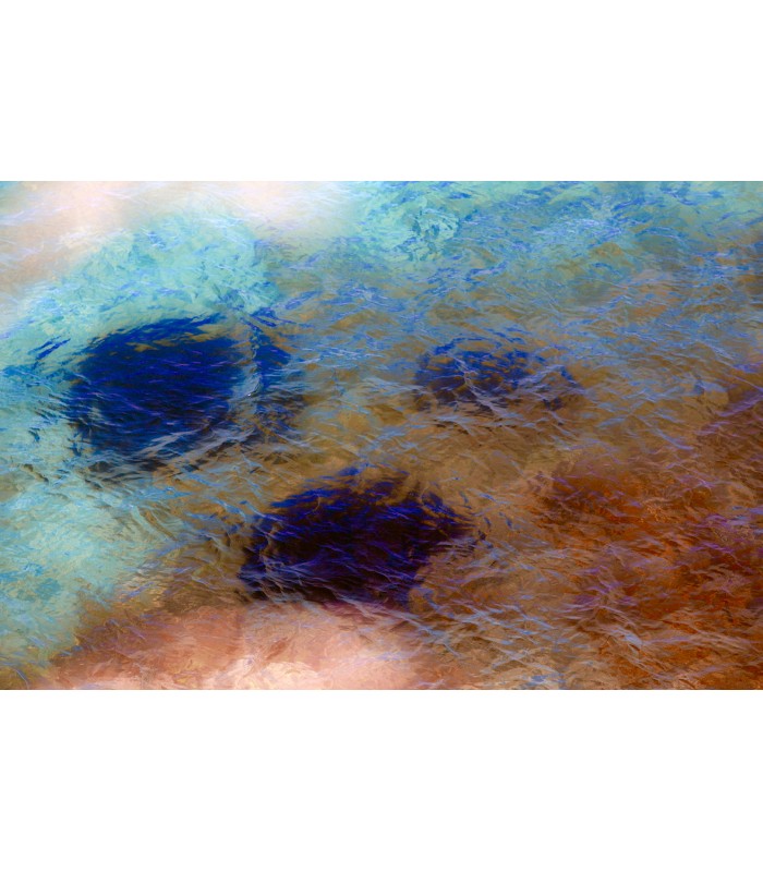 POLLICINO THE DREAMER 2