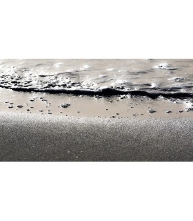 POLLICINO THE DREAMER 3