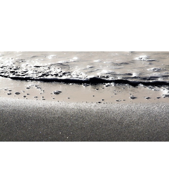 POLLICINO THE DREAMER 3