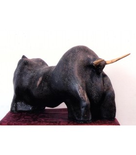 TORO