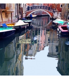 REFLECTED VENICE